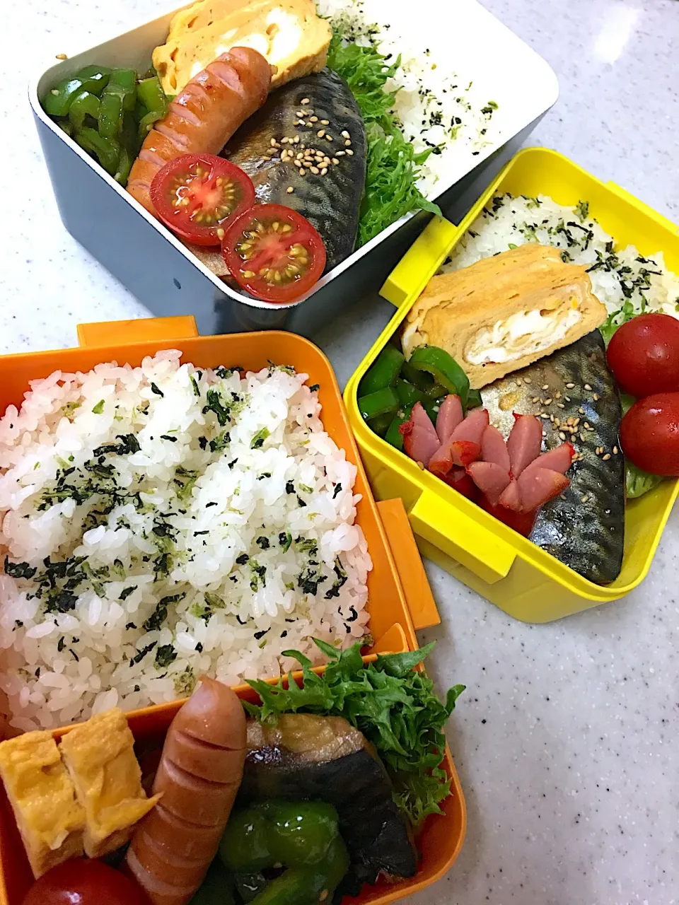 #父ちゃん弁当  #中学女子弁当 #さば|よちこさん