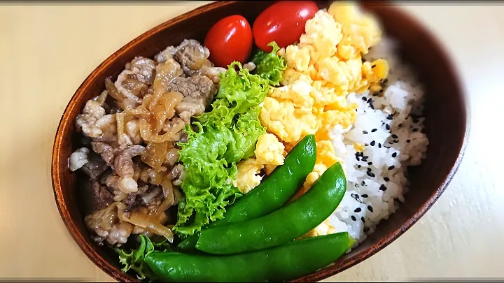 2019.6.7 お弁当|u299さん