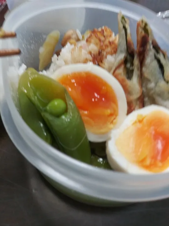 ５日(水)の自分弁当|こやっこさん