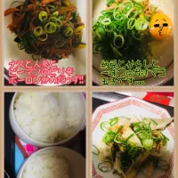 Snapdishの料理写真:今日の〜
晩ご飯のメニューゎ、
こちらだっす(ฅ'ω'ฅ)ﾆｬｰﾝ!!
見てねぇ｡｡｡卍!!|Rioさん