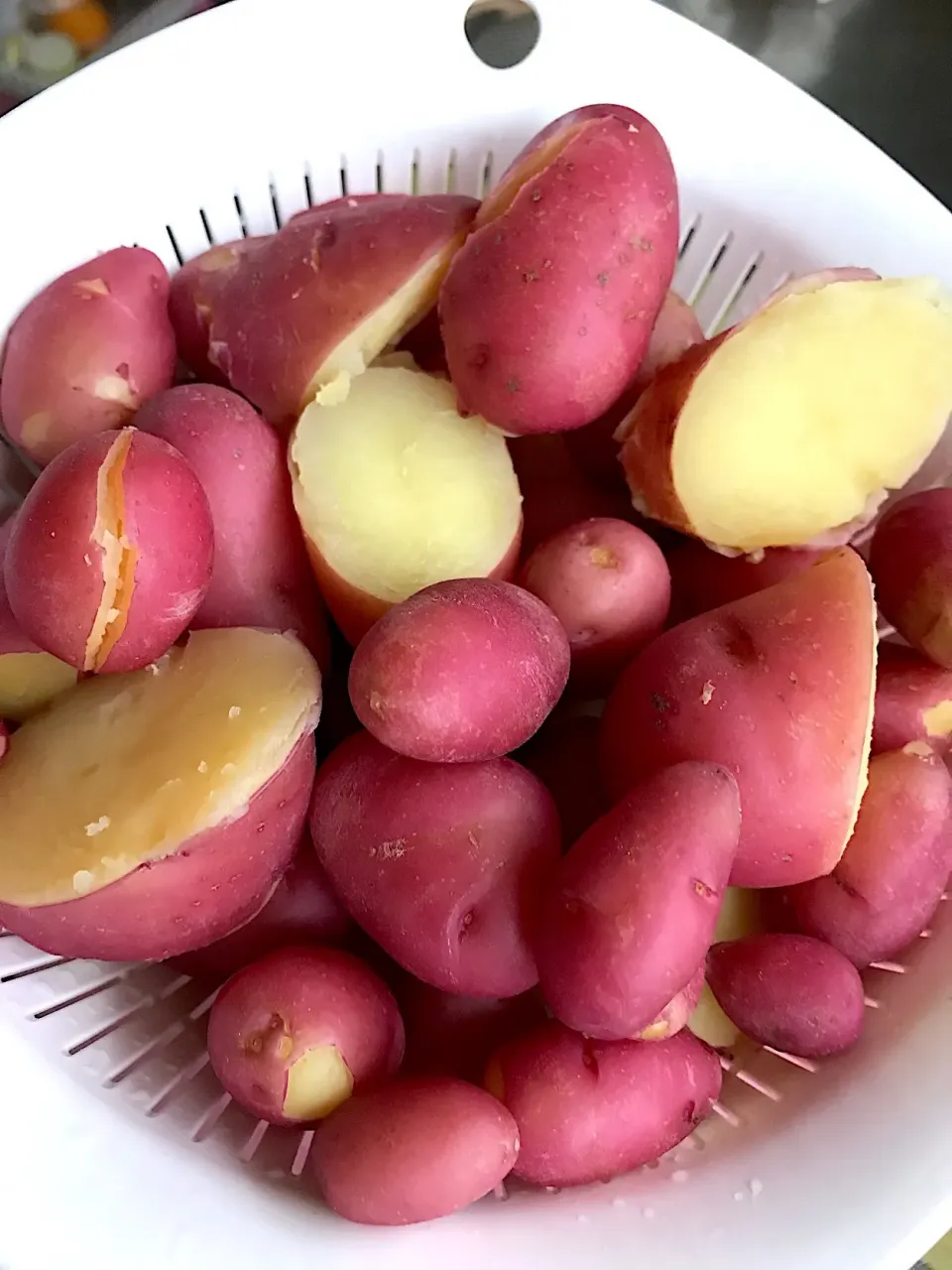 こう見えてもジャガイモ🥔 毎朝せっせと収穫😆 ただいま茹で上がり〜♪|あまねこ🌿さん