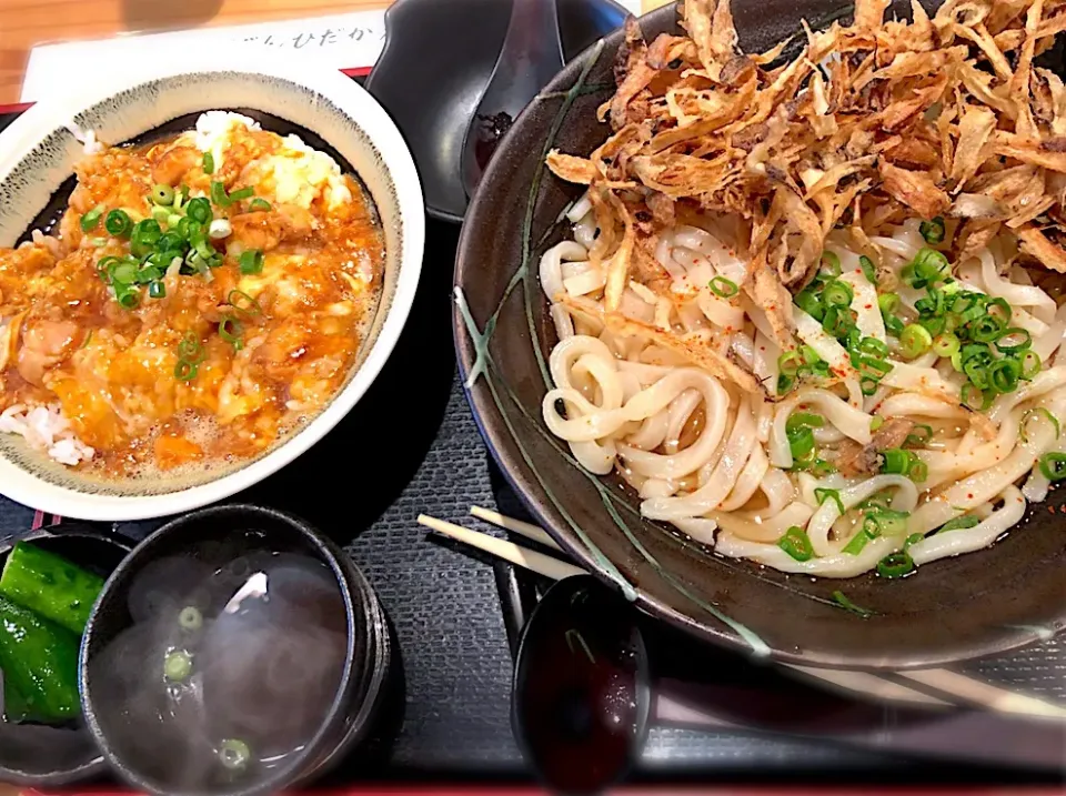 “うどんひだか”さんのごぼう天うどんと親子丼|じゅんさんさん