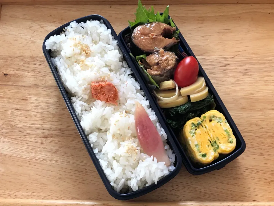 Snapdishの料理写真:鯖の味噌煮(缶詰) 弁当|弁当 備忘録さん