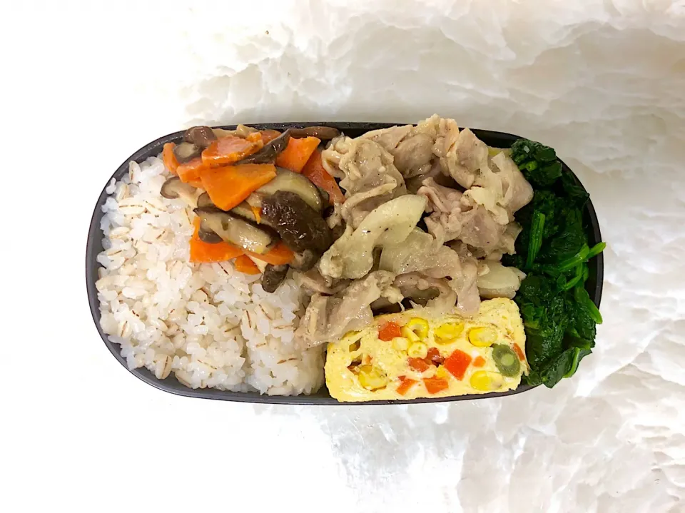 今日のお弁当6/11|としぼーさん