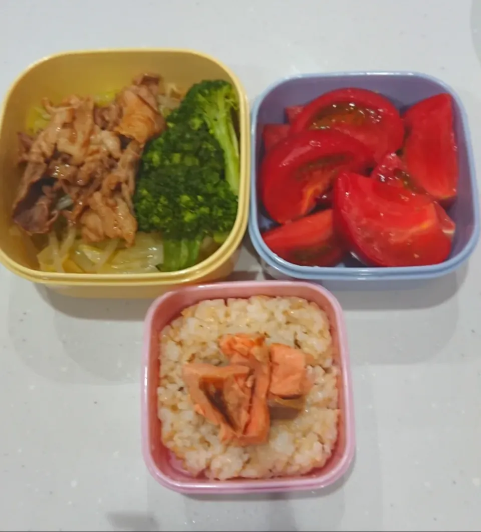 今日の娘のダイエットお弁当🤗

6月11日(火)

以前、私が薬の副作用でプラス14キロ太り、マイナス14キロにした頃を思いだし、またダイエットお料理を始めました🤗

#玄米ご飯に塩鮭のせ
#リコピントマト🍅
#肉野菜炒め
#ブロッコリー🥦|まちまちさん