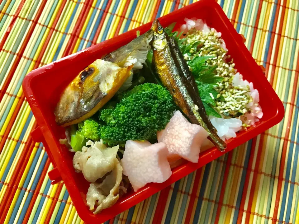 20190611🍱今日の自分弁当🍱
お魚の佃煮に焼き魚。
魚づくしですが、お肉も入ってます。
今日は少し色味が地味。
#スナップディッシュ #snapdishi #自分弁当 #washoku #手軽にプラ酢レモンの酢でカンタン美味しいピクルス|akiyo22さん