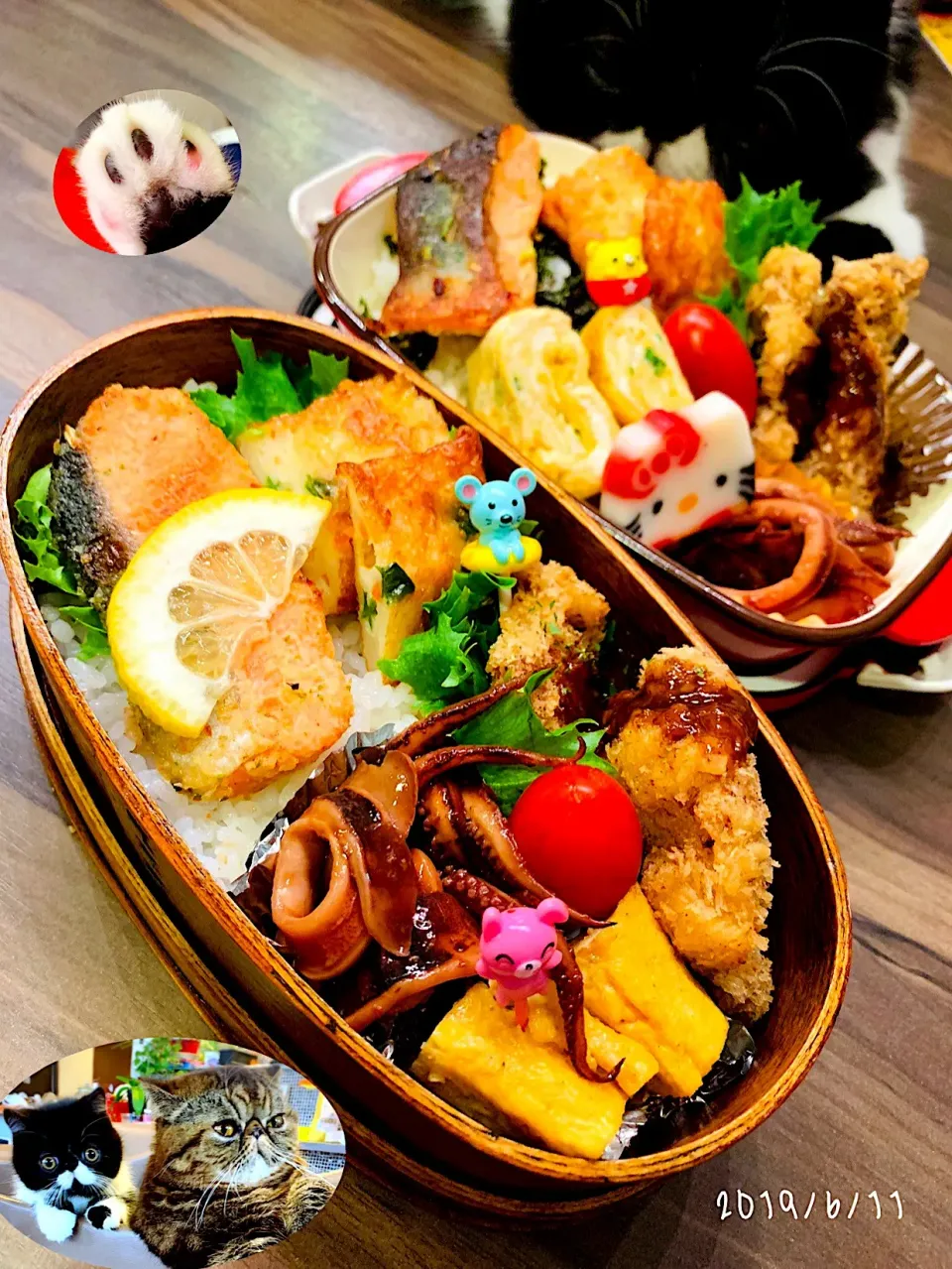 ぱぱさん弁当🦁
2019☆6☆11☆(火)☁️☔
🍭たまご焼き🍳🍳
🍭('-' 鮭)зムニエル
🍭ひとくちカツ
🍭すり身揚げ
🍭🦑( '-' 🦑  )ｲｶｹﾞｿ
٩( ๑╹ ꇴ╹)۶٩( ๑╹ ꇴ╹)۶|*w*tomomi🐾🐾🐾さん