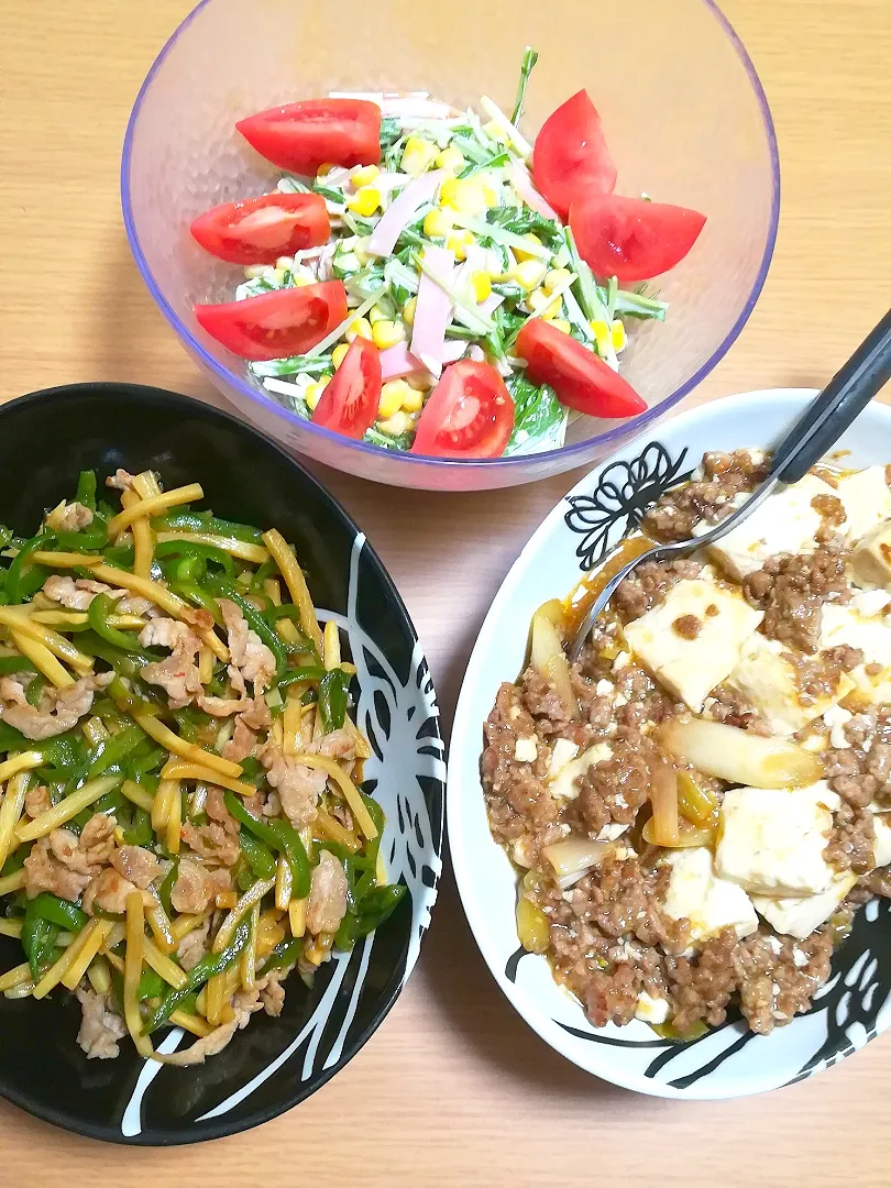 Dinner #ずっと雨だったから #コールスローサラダ #青椒肉絲 #麻婆豆腐|tamakiさん