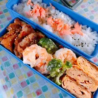 息子弁当|きょうこさんさん