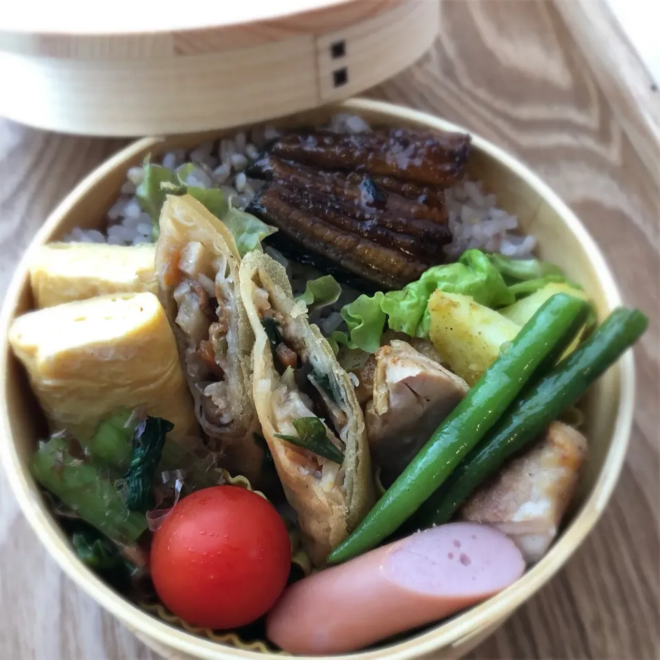 Snapdishの料理写真:令和元年6月11日(火) お弁当
鰻に手作り春巻き〜など|みかりんさん