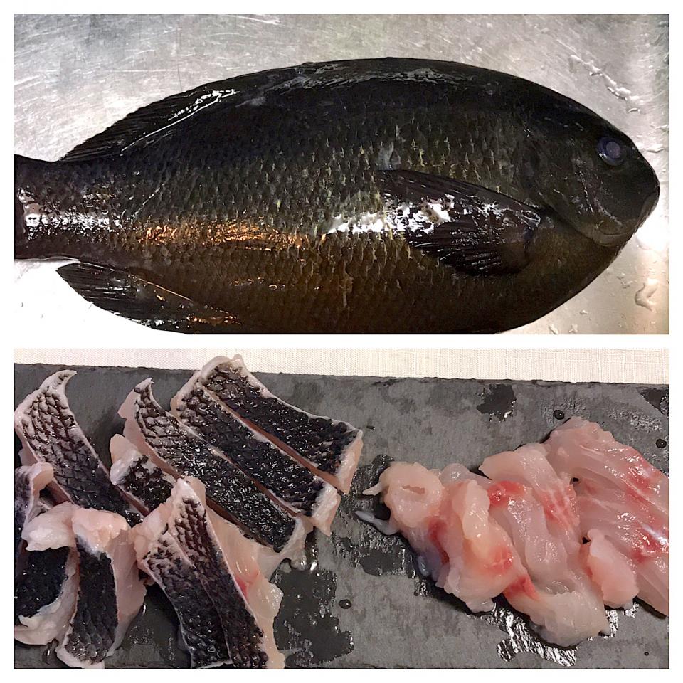 釣りたてメジナのお刺身皮が硬くて悪戦苦闘 メジナ 刺身 和食 Foodie Snapdish スナップディッシュ Id Peomka