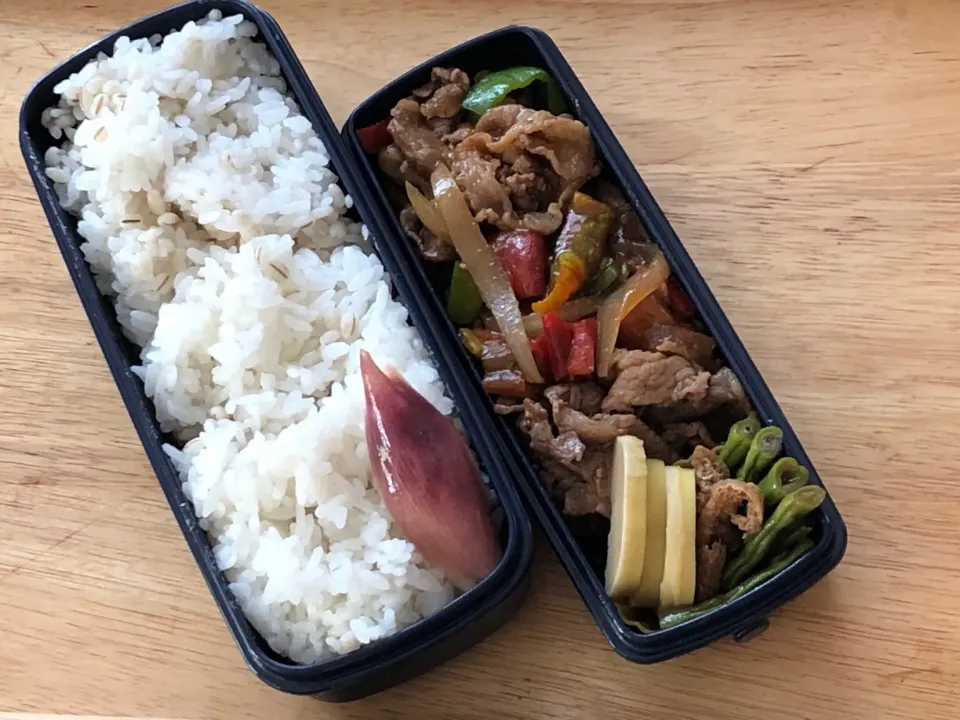 プルコギ 弁当。|弁当 備忘録さん