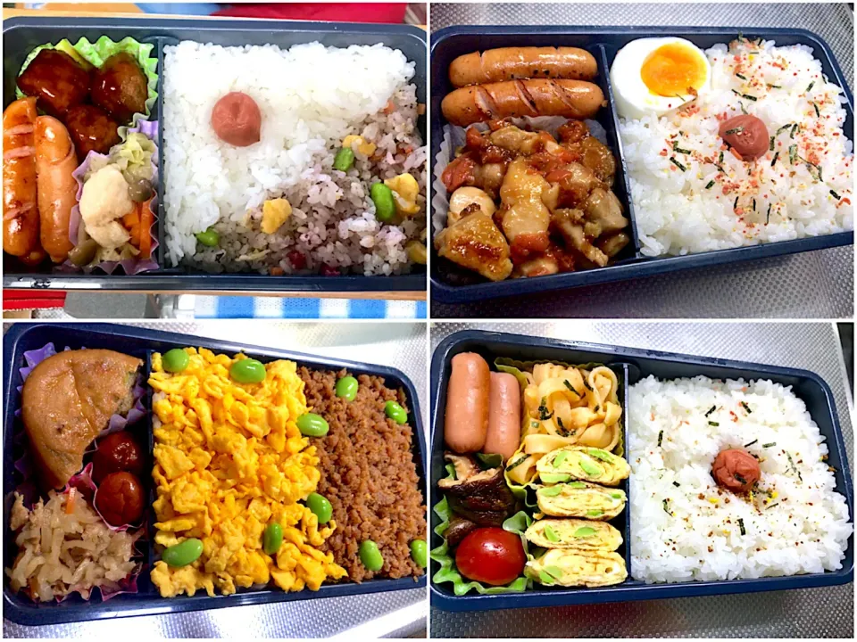 最近の旦那弁当🍱|びいさん