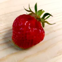 家庭菜園の無農薬苺🍓|そなさん