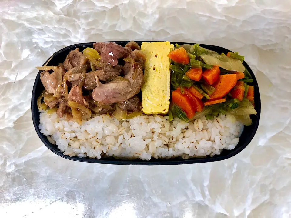 今日のお弁当6/13|としぼーさん