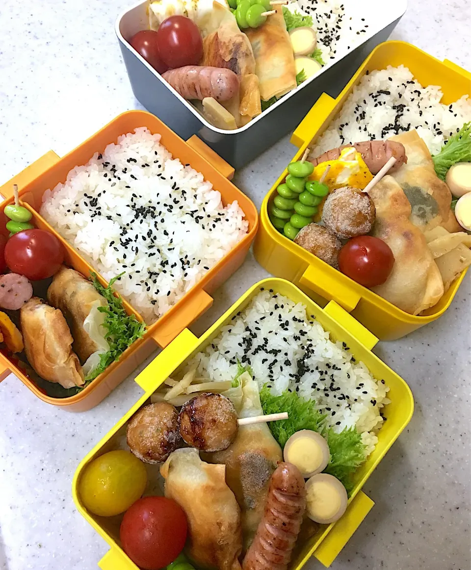 #中学女子弁当  #高校生男子弁当  #父ちゃん弁当 #鶏肉と梅しそ包み|よちこさん