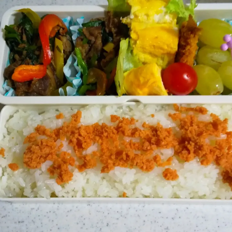 今日の息子のお弁当🍱|けーこさん