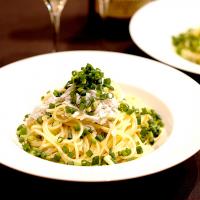 釜揚げシラスが手に入ったのでワサビのパスタ