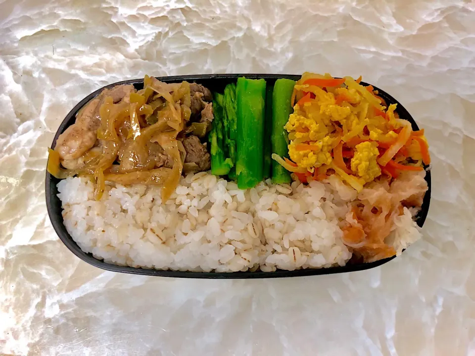 今日のお弁当6/14|としぼーさん