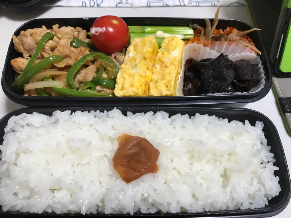 Snapdishの料理写真:高3男子弁当🍱|Tasuku Kimuraさん