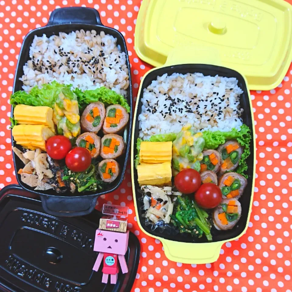 今日のお弁当🍱 6/14|ハナコさん