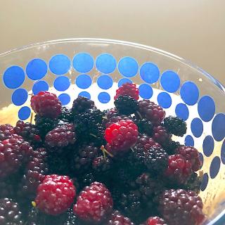 ケーキ ブラックベリーのレシピと料理アイディア149件 Snapdish スナップディッシュ