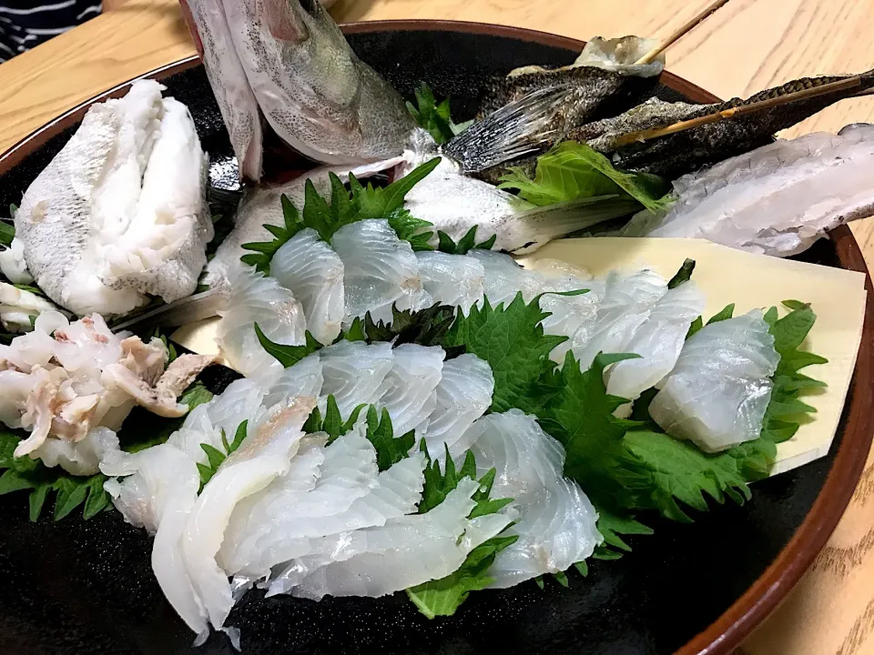 Snapdishの料理写真:【釣】セイゴ（スズキ）の刺盛 刺身 胃袋 浮袋 皮焼き 腹身の茹で
 #スズキ刺身|さくたろうさん