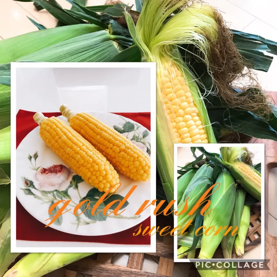 #蒸したとうもろこし🌽|みすてりあすゆっこさん