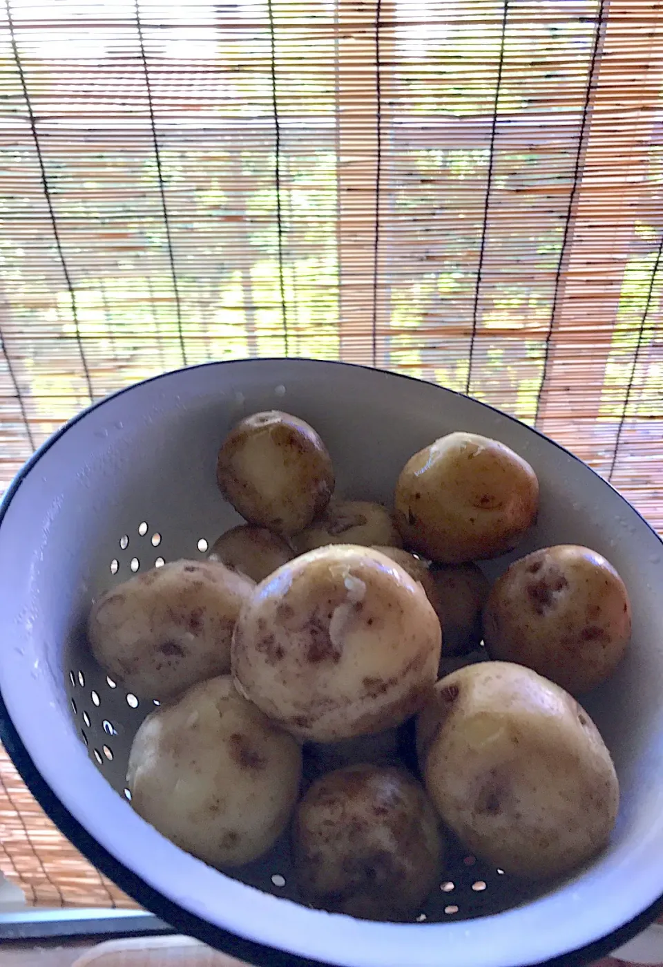 新じゃがいも小芋塩ゆで🥔|シュトママさん