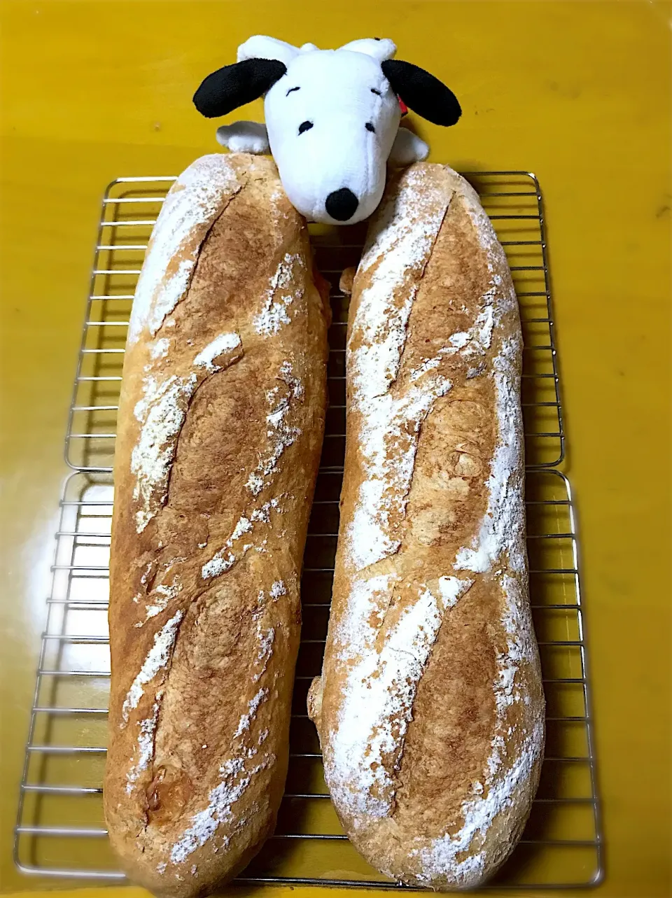 Snapdishの料理写真:4週連続バゲット🥖修行🤣|くみぽんさん