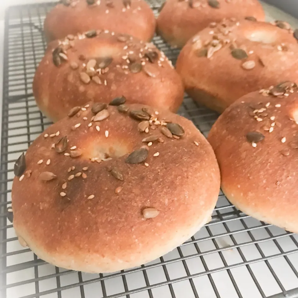 Snapdishの料理写真:茹でないベーグル🥯ビアリー|YOさん