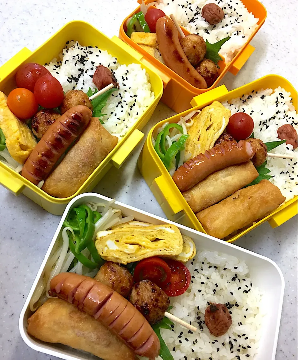 Snapdishの料理写真:#中学女子弁当  #父ちゃん弁当  #高校生男子弁当 #躊躇わずに冷食使おう‼️|よちこさん