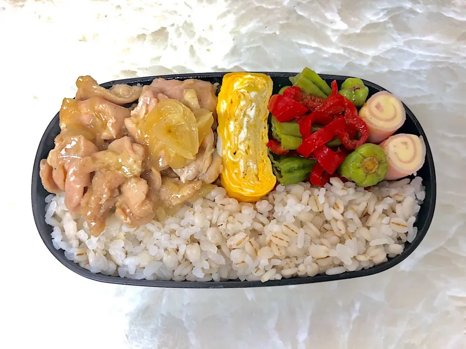 今日のお弁当6/18|としぼーさん