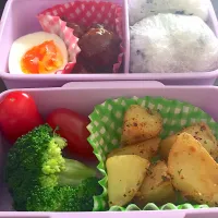 Snapdishの料理写真:社会科見学のお弁当|かなーるさん