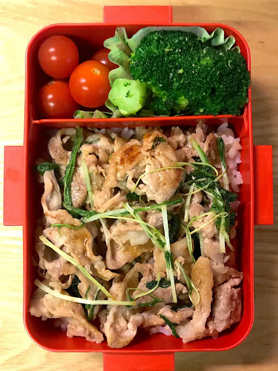 娘用 お弁当(237)|トモさん