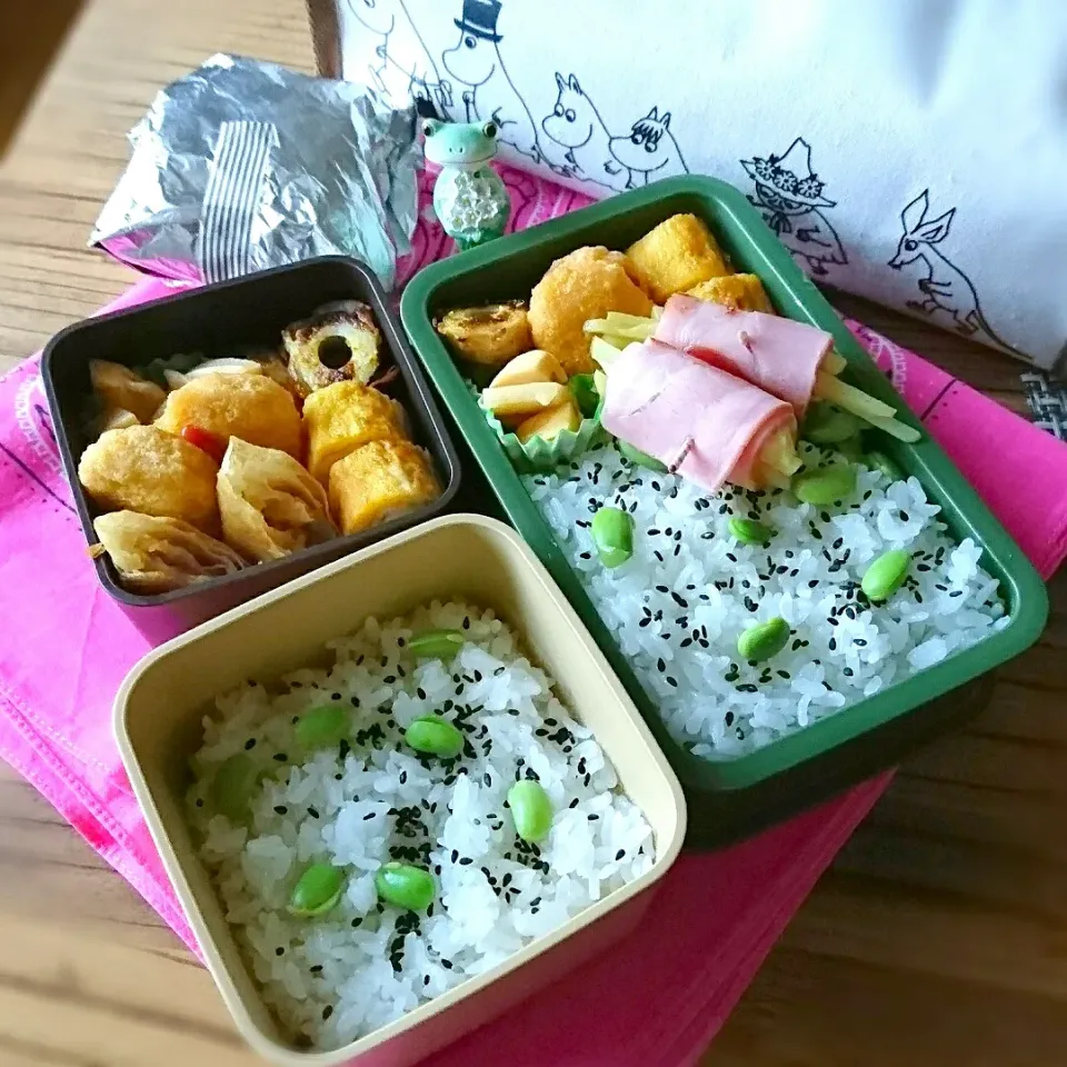 息子弁当・おっと弁当 6/20|ふ〜たん**さん