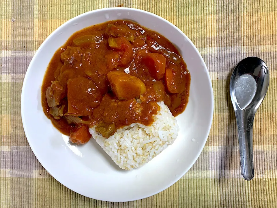 Snapdishの料理写真:Japanese halal curry|yeni kartikasariさん