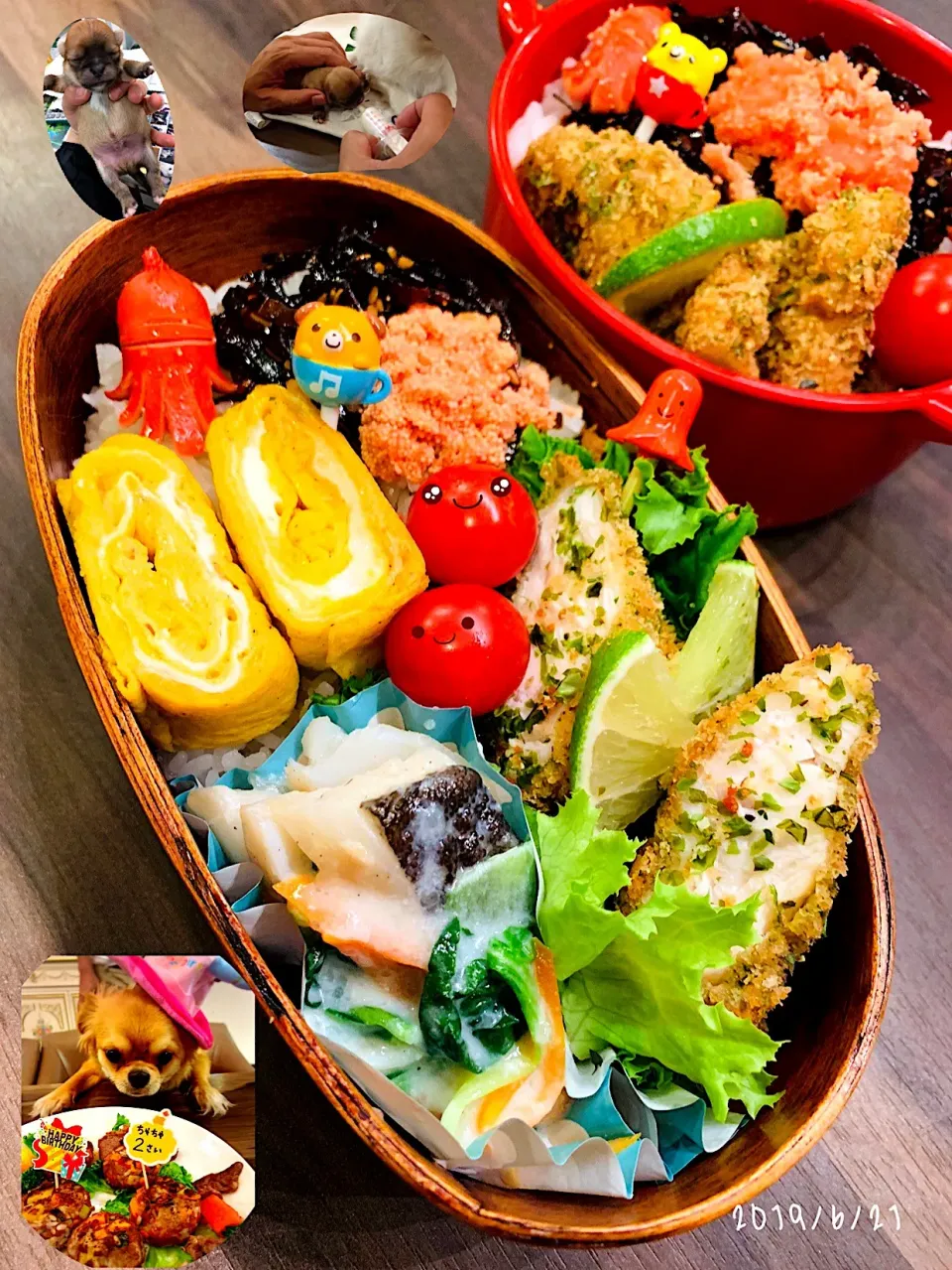 Snapdishの料理写真:ぱぱさん弁当🦁
2019☆6☆21☆(金)😄☀
🦍タラとチンゲン菜のミルク煮
🦍🍳🍳焼き
🦍ささみのり塩ﾁｰｽﾞ パン粉焼き
🦍たらこ＆こんぶ＆🍅＆🐙|*w*tomomi🐾🐾🐾さん