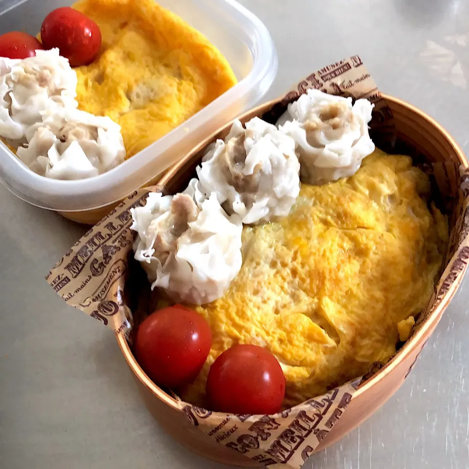 2019/6/21 長男オムライス弁当&ママ弁当|すずちゅんさん