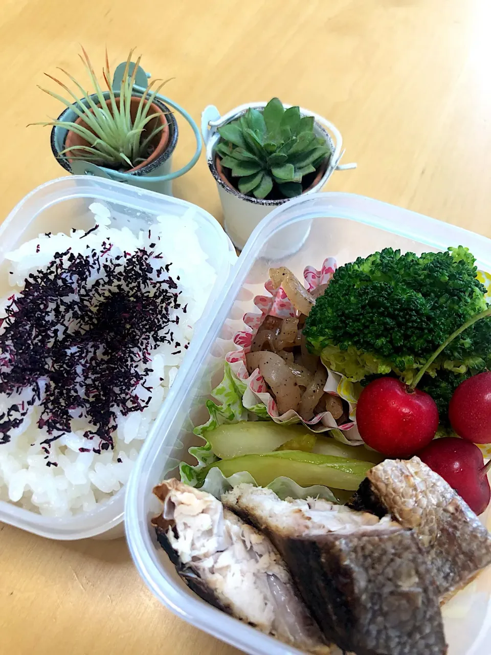 ブリの西京焼き こんにゃく炒り煮 セロリきんぴら ブロッコリー🥦さくらんぼ🍒弁当|Kumiko Kimuraさん