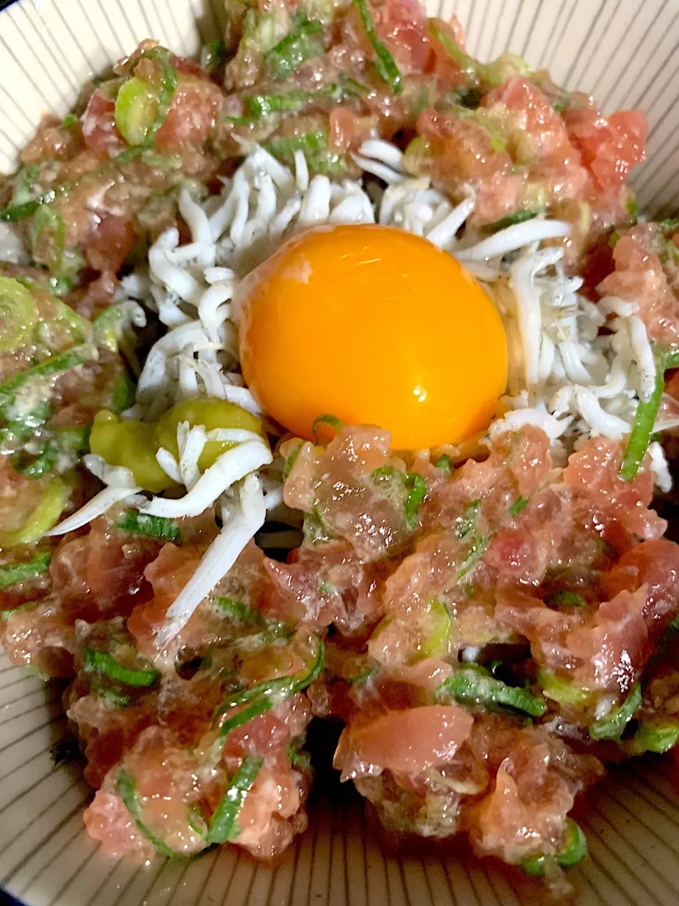 Snapdishの料理写真:ネギトロ丼 シラス添え|coronさん