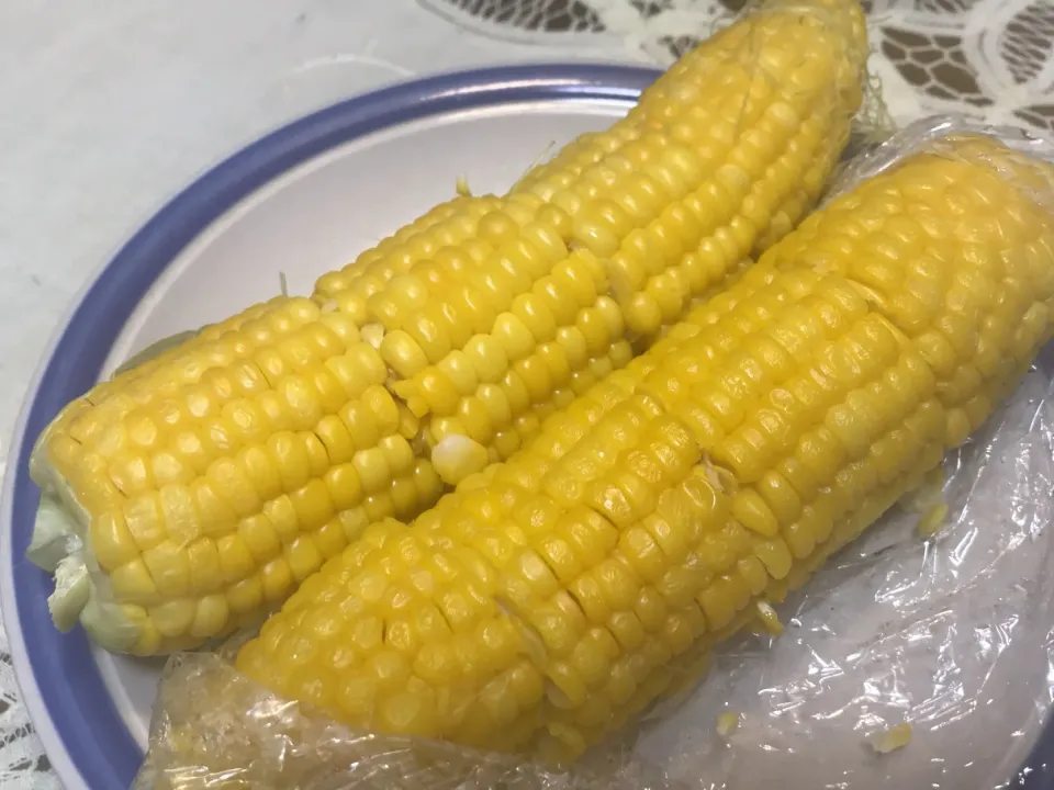 とうもろこし🌽|mickyさん