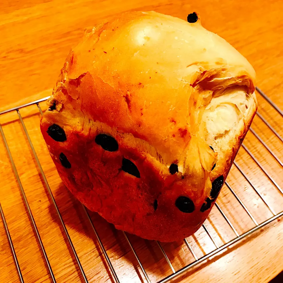 レーズン食パン
焼きたて🍞朝からキッチンにパンのいい香り
#手作りパン
#レーズンパン|いちごさん