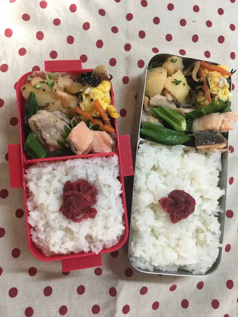 6月24日 梅雨入りはまだ？？弁当🍱|sakuramochiさん