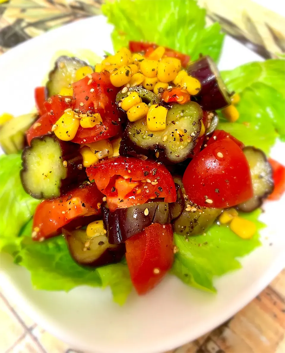 ☆ナスとトマトのサラダ🥗|琥珀さん