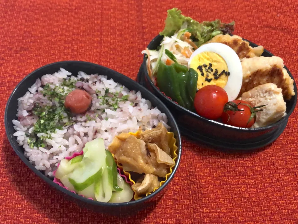 6／24昼食 #昼ごはん #弁当
•甘酒入り鶏つくね/サラダ/ピーマンの甘酒味噌和え/ゆで卵  •黒米入りご飯/胡瓜の甘酒辛子漬け/甘辛お揚げ|おさんどんさん