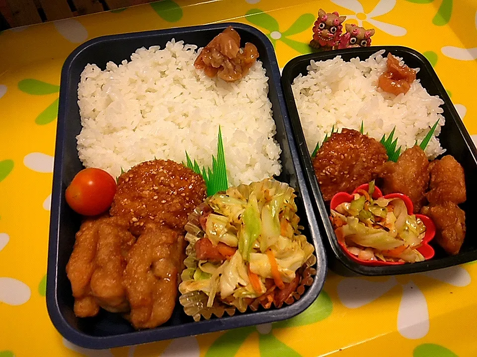 夫の弁当、娘の弁当|みどりさん