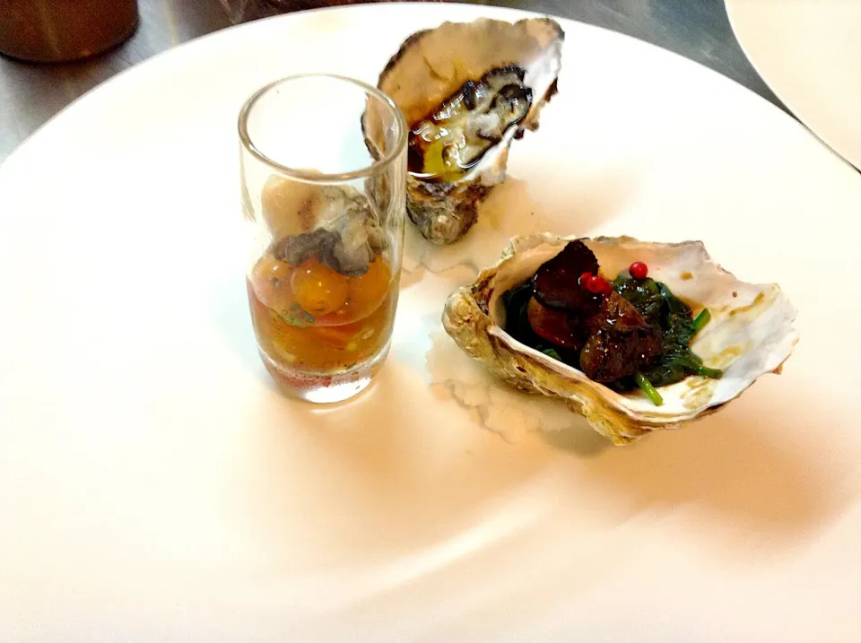 Oysters|tさん