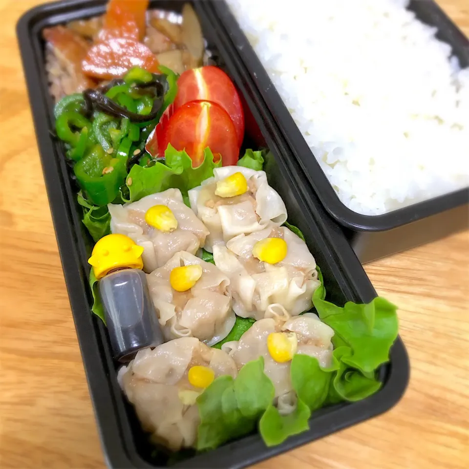 長男お弁当❁¨̮
 #お弁当記録 
 #手作り弁当 
 #男子高校生弁当|ゆめぴりかさん