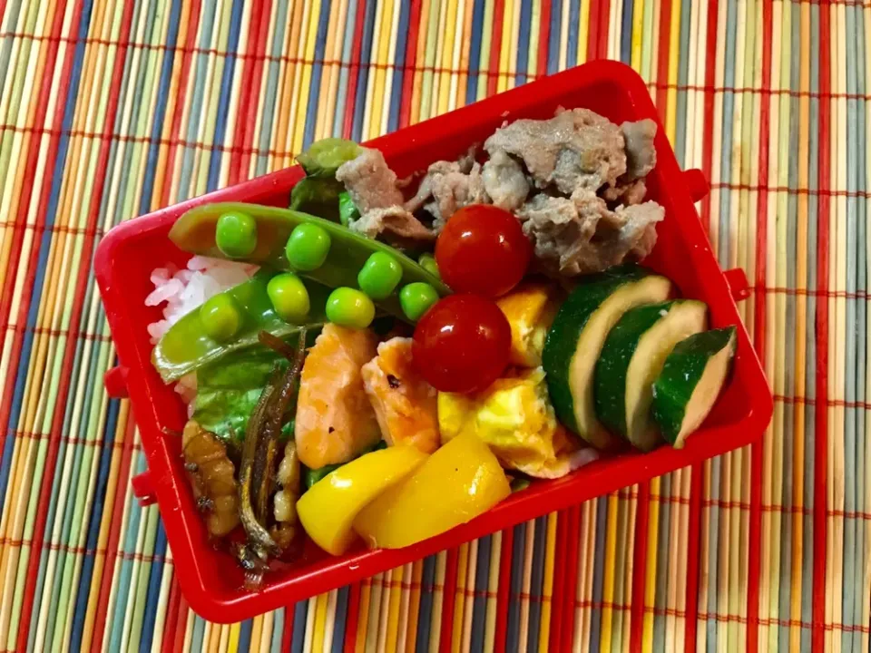 2190625🍱今日の自分弁当🍱
 #手軽にプラ酢レモンの酢でカンタン美味しいピクルス  #プチトマトピクルス  #yamasajyoubisai  #とまとのぴくるす  #スナップディッシュ  #ぽっかサッポロ  #手軽にプラ酢レモンの酢   #佃煮  #美味しい料理  #自分ご飯|akiyo22さん